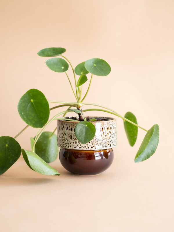 RUNO (Midi) Plant Pot Cover (Honey with Effect) 13,5 cm