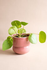 RUNO (Midi) Plant Pot Cover (Pink) 13,5 cm