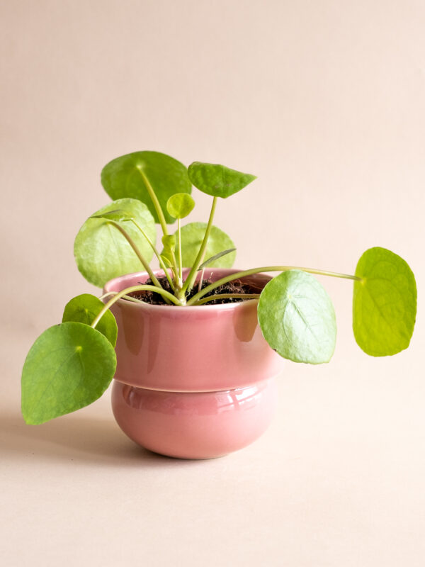 RUNO (Midi) Plant Pot Cover (Pink) 13,5 cm