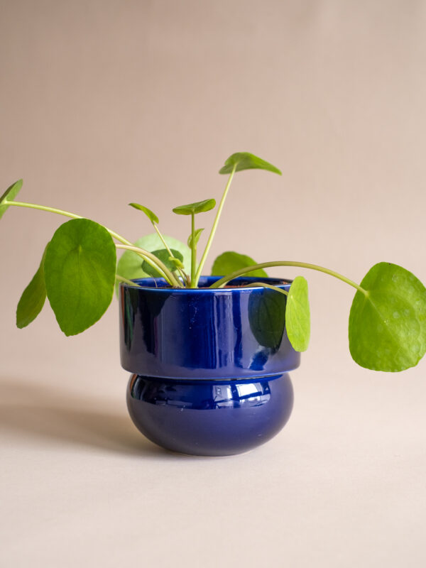 RUNO (Midi) Plant Pot Cover (Cobalt) 13,5 cm