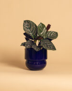 RUNO (Midi) Plant Pot Cover (Cobalt) 13,5 cm - Image 2