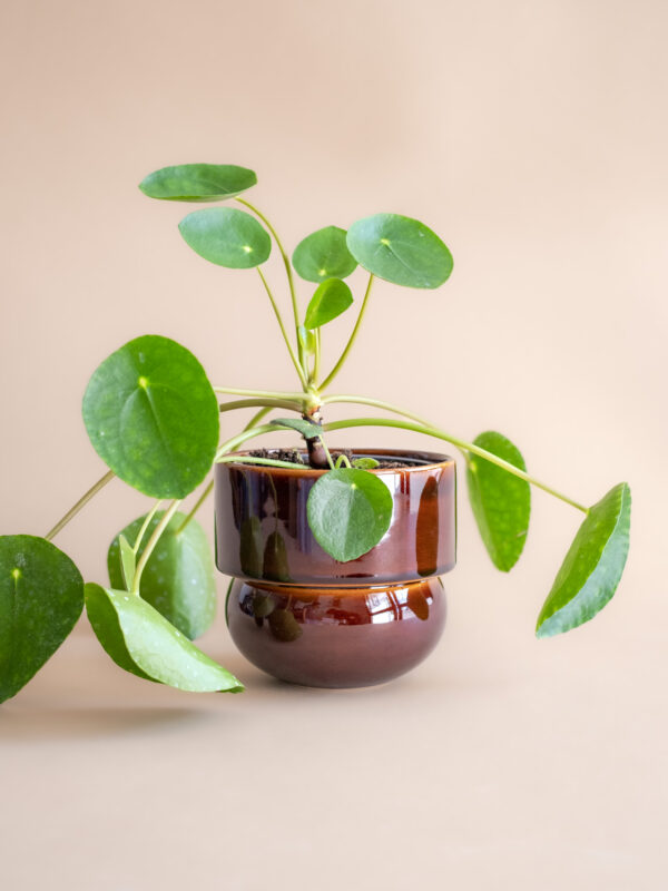 RUNO (Midi) Plant Pot Cover (Honey) 13,5 cm