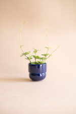 RUNO Set of Plant Pot Covers (Small + Small) – Blue & Cobalt - Image 4