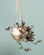 PLANET Hanging Ceramic Planter on Leather Strap (Beige) - Image 2