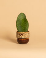 RUNO (Small) Plant Pot Cover  (Honey with Effect) 9,5 cm - Image 2