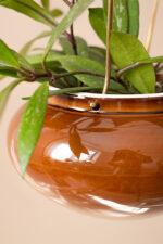 OVAL Ceramic Planter with Brass Hanger (Honey) - Image 2