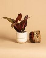 RUNO Set of Plant Pot Covers Size S + S (Honey with Effect + Beige)