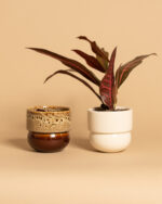 RUNO Set of Plant Pot Covers Size S + S (Honey with Effect + Beige) - Image 2