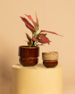 RUNO Set of Plant Pot Covers Size S + M (Honey + Honey with Effect)