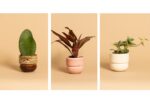 RUNO Set of Plant Pot Covers Size S + S + S (Honey with Effect+ Pink + Beige)