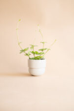 RUNO Set of Plant Pot Covers Size S + M (Honey + Beige) - Image 5