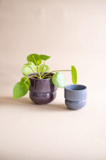 RUNO Set of Plant Pot Covers Size S + M (Violet)