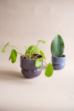 RUNO Set of Plant Pot Covers Size S + M (Violet) - Image 2