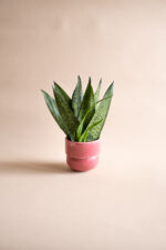 RUNO Plant Pot Cover (small) – dark pink