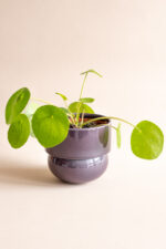 RUNO (Midi) Plant Pot Cover (Violet) 13,5 cm - Image 2