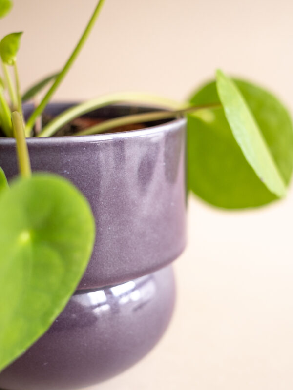 RUNO (Midi) Plant Pot Cover (Violet) 13,5 cm