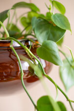 osłonka ceramiczna OVAL na rzemyku (miodowa) - Image 2