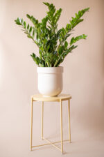 TUBBA 30 cm (beige) - Image 3