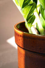 TUBBA 30 cm (honey) - Image 4