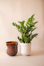 TUBBA 30 cm (honey) - Image 3