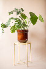 TUBBA 30 cm (honey) - Image 2