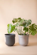 TUBBA - set of two (light gray + dark gray)