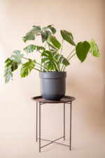 TUBBA 30 cm (dark gray matt)