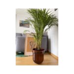 TUBBA 30 cm (honey) - Image 6