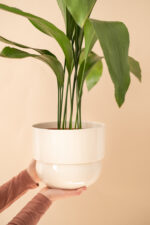 RUNO (large) Plant Pot Cover (Beige) 13,5 cm