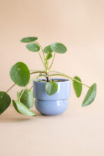 RUNO (midi) Plant Pot Cover (Blue) 13,5 cm