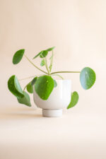 donica BULVA beż - Image 2