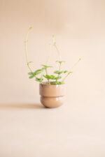 RUNO Set of Plant Pot Covers (Small + Small) – Caramel & Honey - Image 3