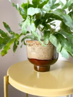 donica BULVA karmel (miodowa z efektem)