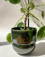 RUNO (midi) plant pot cover (bottle green) 13,5 cm