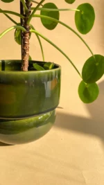 RUNO (midi) plant pot cover (bottle green) 13,5 cm - Image 2