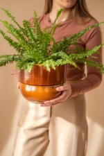 Zestaw RUNO S+M+L (miód) - Image 2