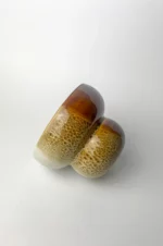 Tricolor Tea Bowl (cheetah) - Image 7